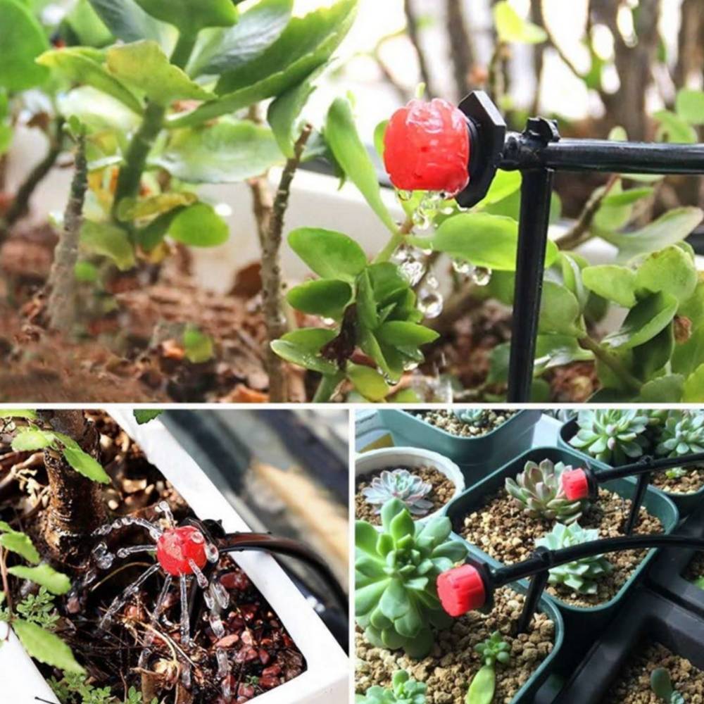 Garden Irrigation System: image 4