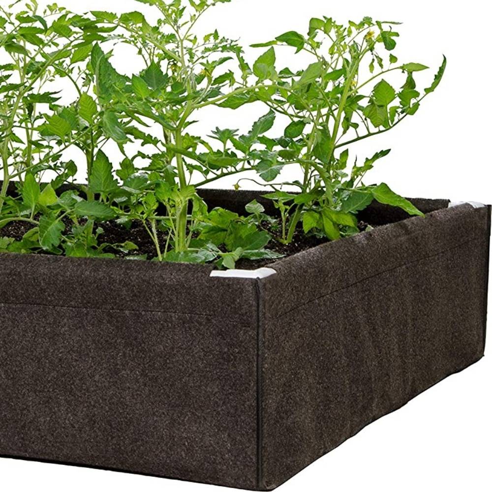 Raised Garden Bed: image 4