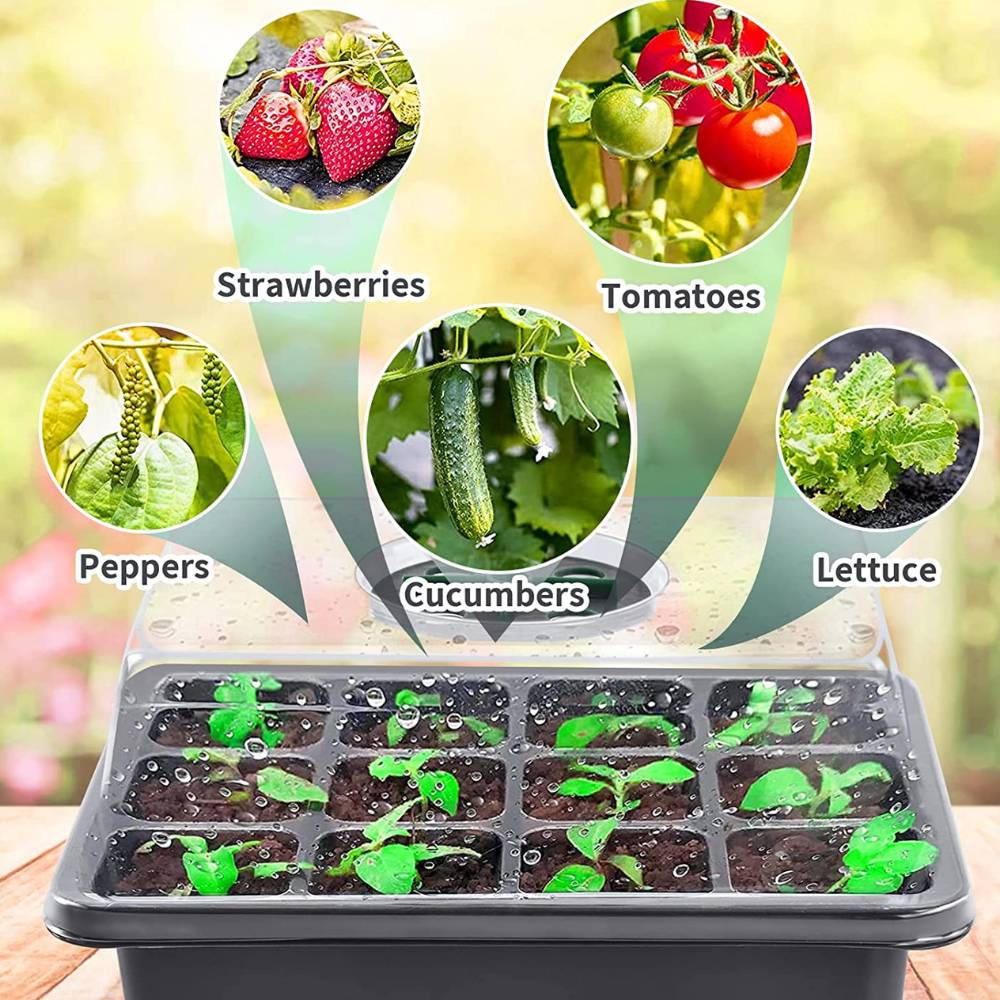 Seed Starter Tray: image 3